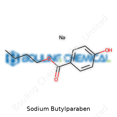 Sodium Butylparaben