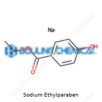 Sodium Ethylparaben