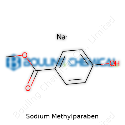 Sodium Methylparaben
