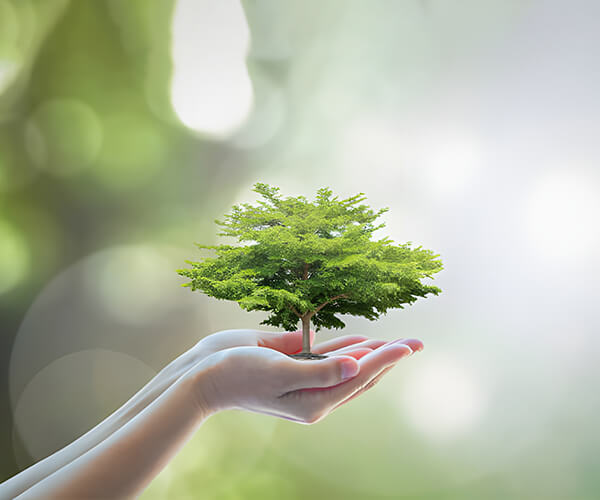 Bouling Chemical Co., Limited