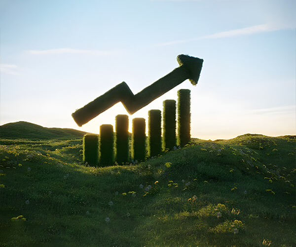 Bouling Chemical Co., Limited